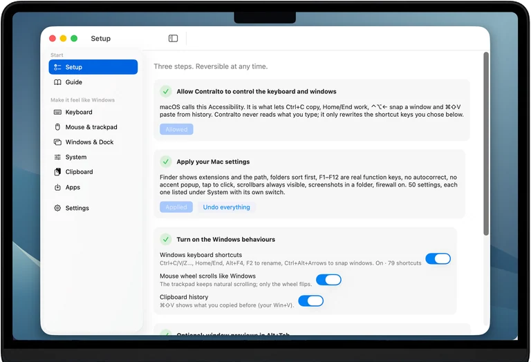 The app's Setup screen on a MacBook Air:
          Accessibility, recommended settings, Windows behaviours and optional
          window previews.